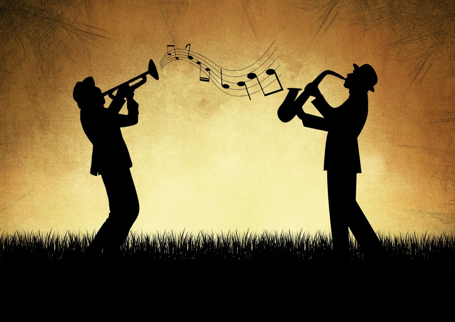 The Storied Roots of Amnesia Haze: From Dutch Coffee Shops to Canadian Grow Rooms