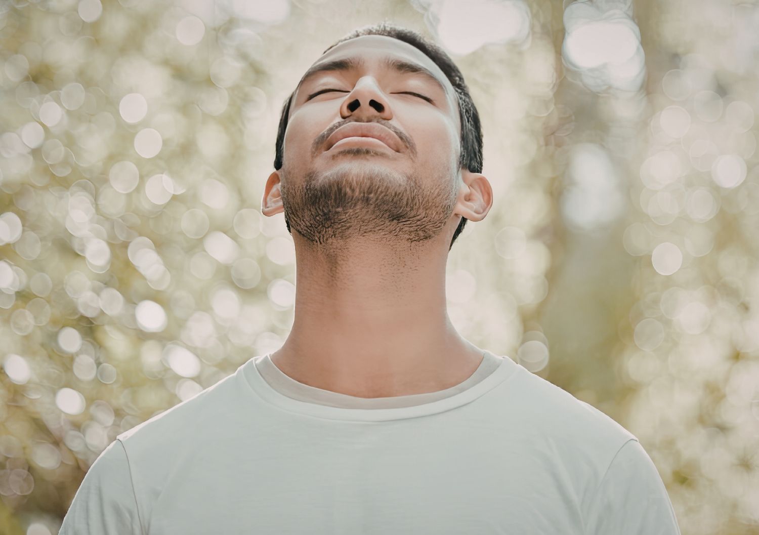 User Experiences and Real Talk on Northern Lights vs Granddaddy Purple