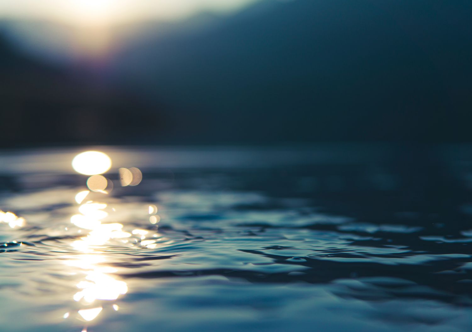 Northern Lights vs Granddaddy Purple: Choosing the Best Indica for Deep Body Calm