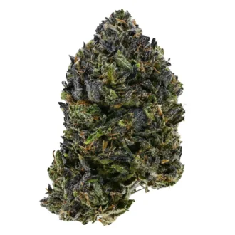 Purple OG Kush (AAA+)